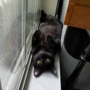 Meet your Posher, Breanna